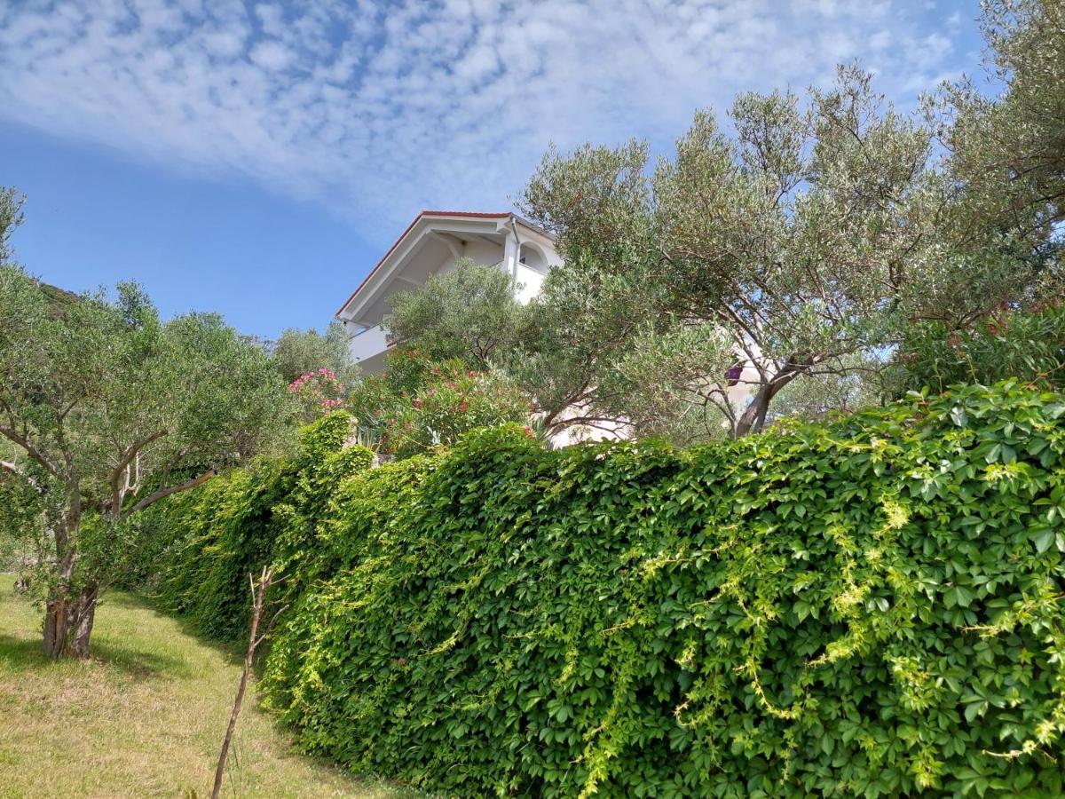 Apartment Zorka Supetarska Draga Exterior foto